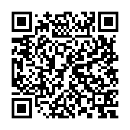 QR code for 382971