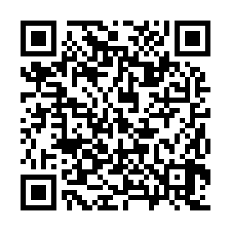 QR code for 382988