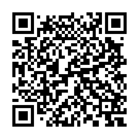 QR code for 383002