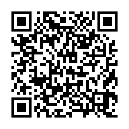 QR code for 383063