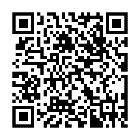 QR code for 383072