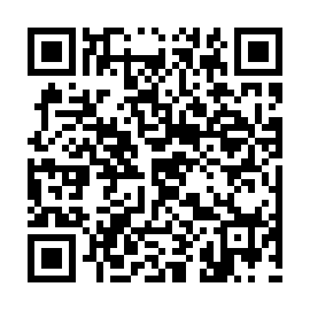 QR code for 383078