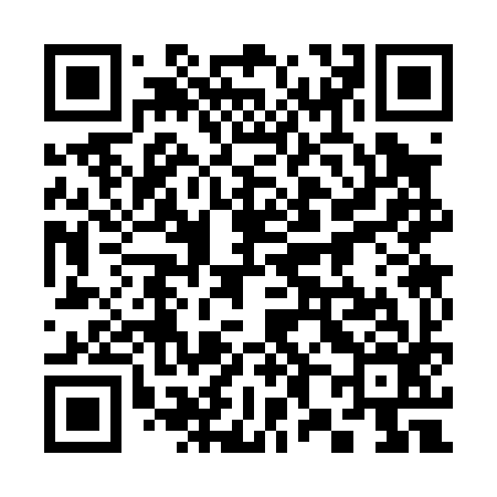 QR code for 383096