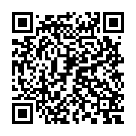 QR code for 383102