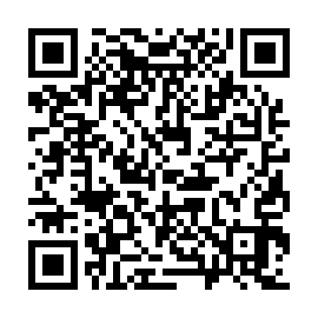 QR code for 383113