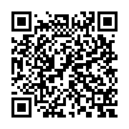 QR code for 383114