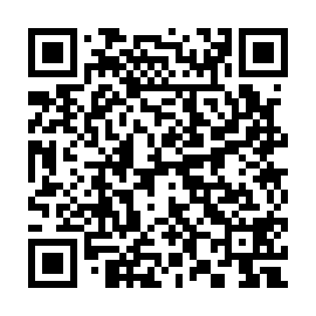 QR code for 383118