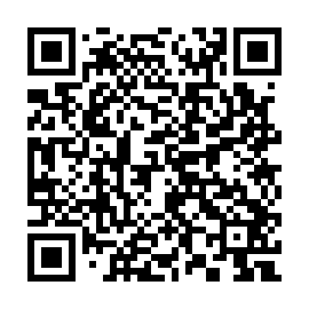 QR code for 383142