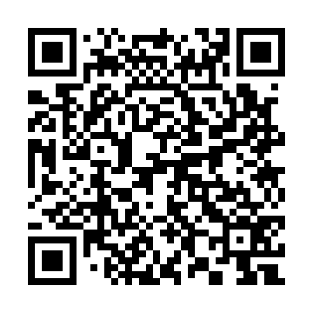 QR code for 383176