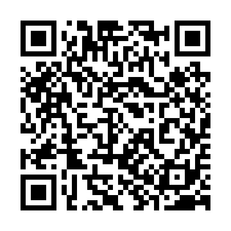 QR code for 383211