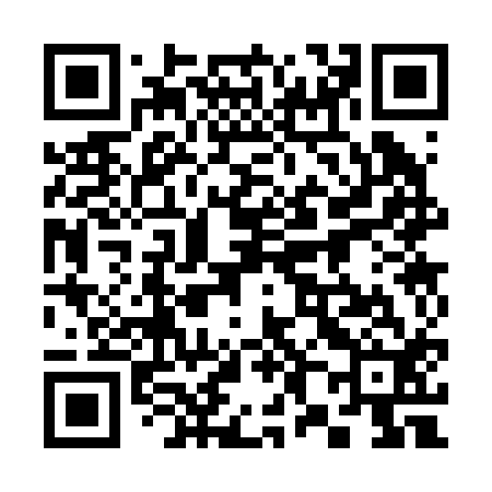 QR code for 383212