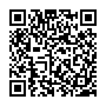 QR code for 383213
