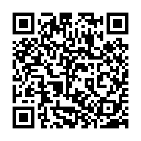 QR code for 383219