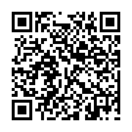 QR code for 383222