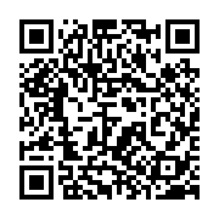 QR code for 383238