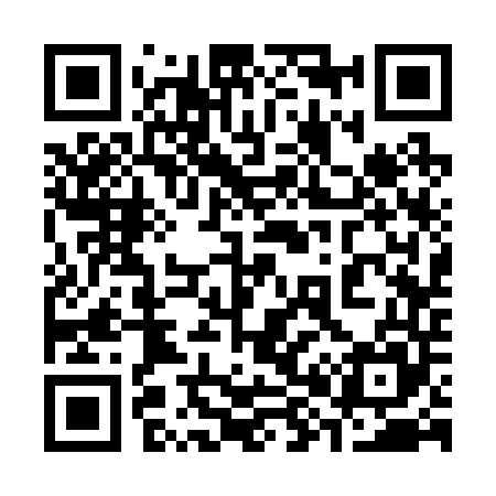 QR code for 383245