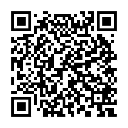 QR code for 383248