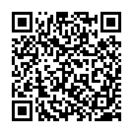 QR code for 383252
