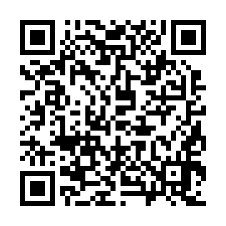 QR code for 383254
