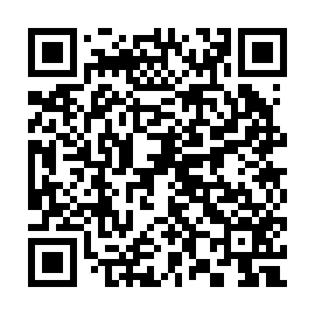 QR code for 383256