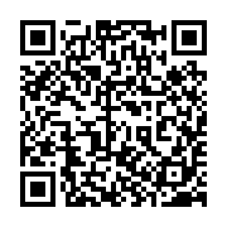 QR code for 383290