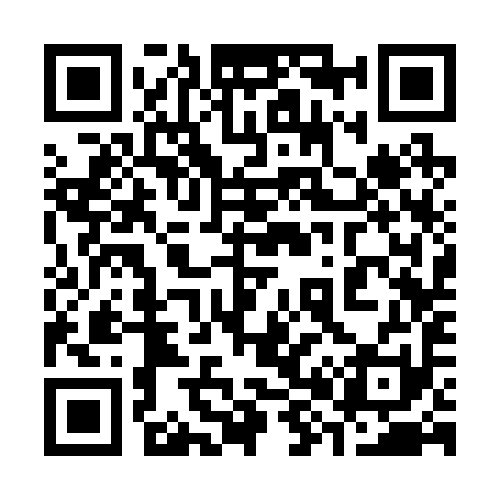QR code for 383291