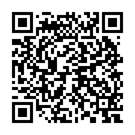 QR code for 383293