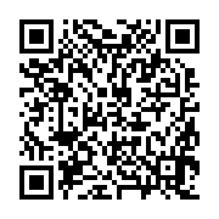 QR code for 383294