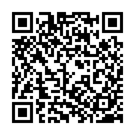 QR code for 383300