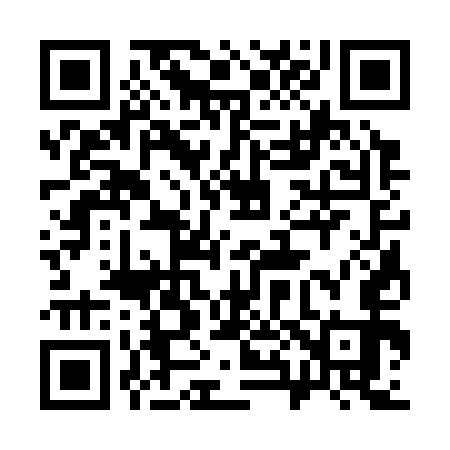 QR code for 383353