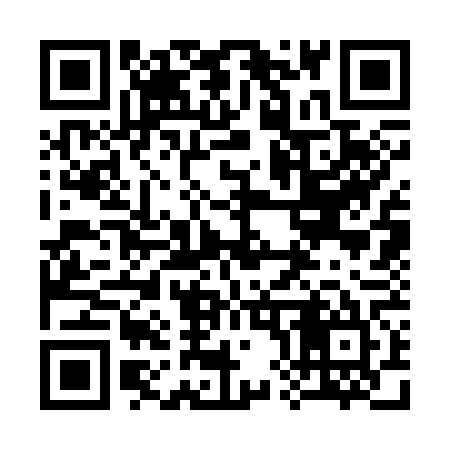 QR code for 383365