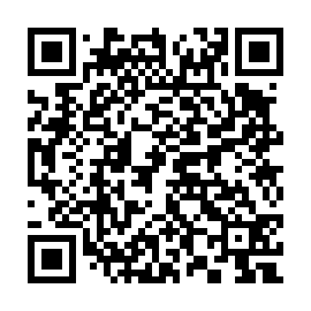 QR code for 383432