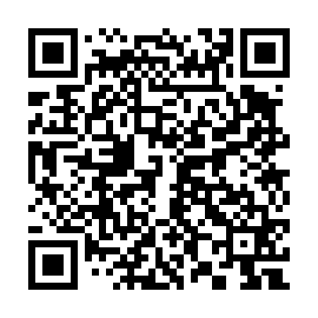 QR code for 383461