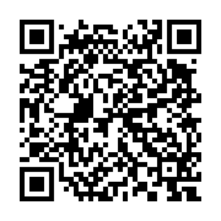 QR code for 383496