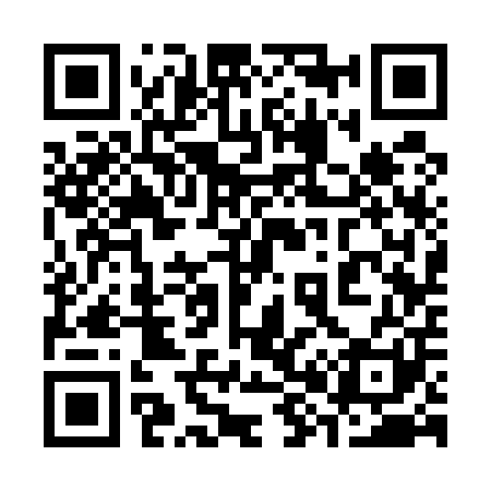 QR code for 383501