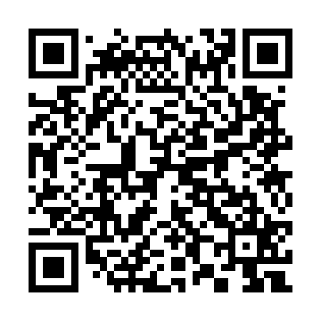QR code for 383525