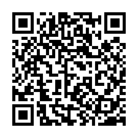 QR code for 383538