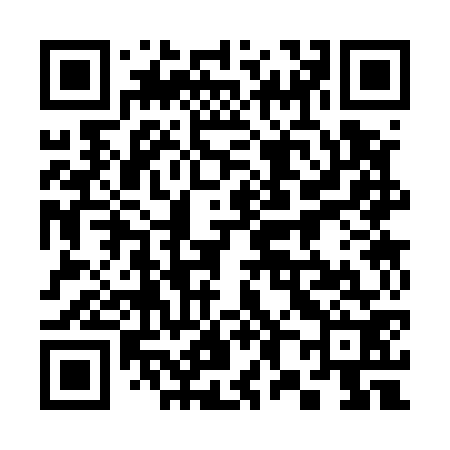 QR code for 383572