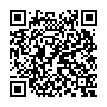 QR code for 383673