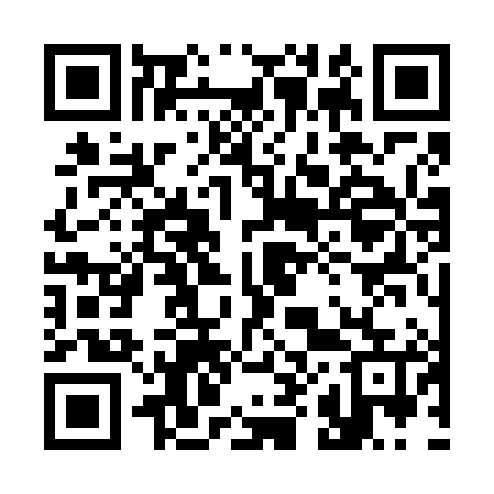 QR code for 383685