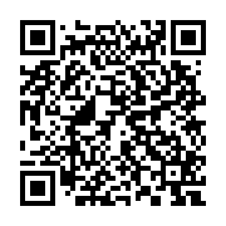 QR code for 383705
