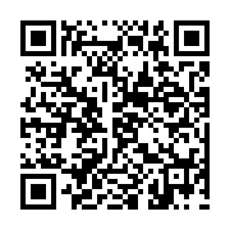QR code for 383738