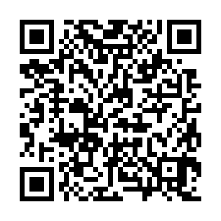QR code for 383780