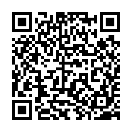 QR code for 383794
