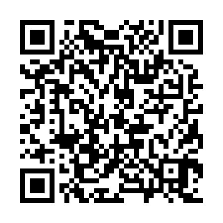 QR code for 383800
