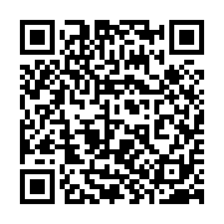 QR code for 383811