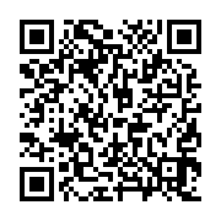 QR code for 383813