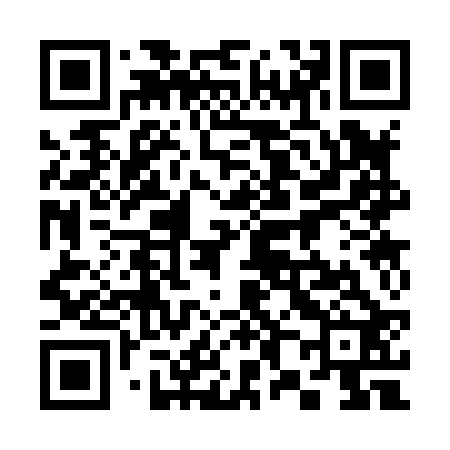 QR code for 383822