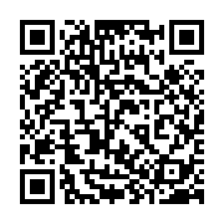 QR code for 383839