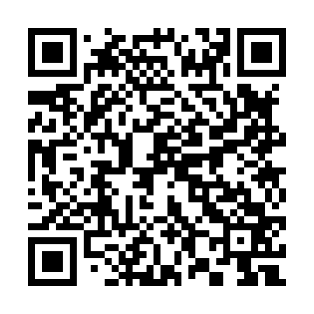 QR code for 383863